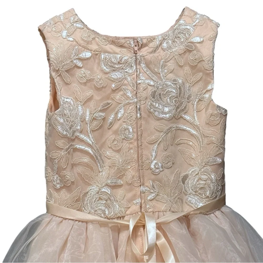 Rare Editions Girls Blush Floral Embroidered Formal Dress Size 10 - Picture 4 of 8